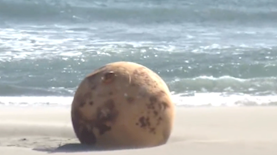 הכדור המסתורי, צילום: צילום מסך טוויטר @NHKWORLD_News